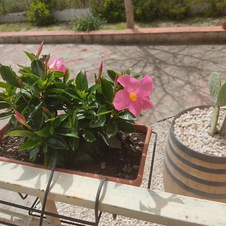 B&B Lara Santola Corato Dış mekan fotoğraf