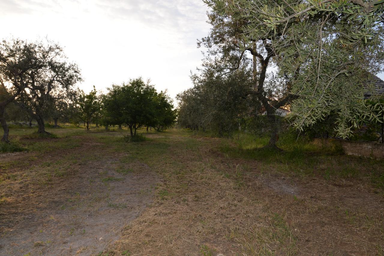B&B Lara Santola Corato Dış mekan fotoğraf